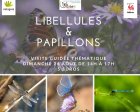 LibellulesEtPapillonsVisitesGuideesThema_libellule-papillon.jpg