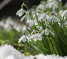 StagePourLes57AnsLeParcAuPrintemps_d362dcf76b027fc3d3aadc34b6c9c3d4.jpg