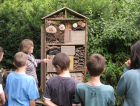 StagePourLes812AnsChantiersNatureDans_chantier-nature.png