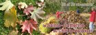 bf_imageBandeau_Fb_St._Catherine_2015._plat_.jpg
