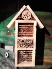 bf_imageFormation_hotel_insectes.jpg