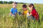 bf_imageFotolia_64966072_XScSergiy_Bykhunenko_.jpg